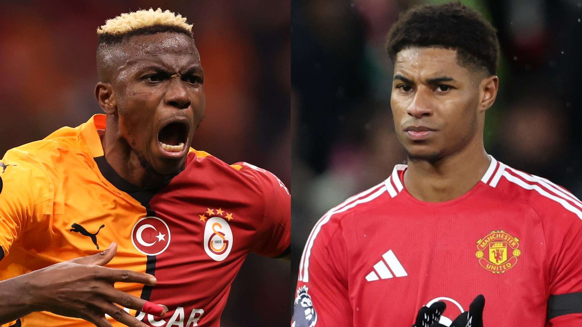 日盛大开幕 日盛大开幕